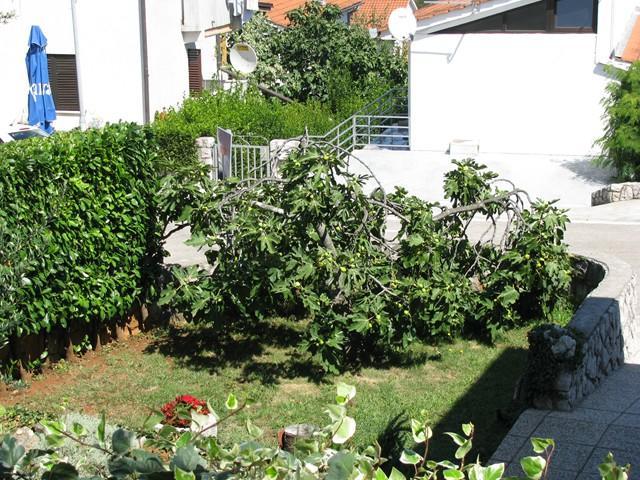 נייביצה Apartman "Ela" מראה חיצוני תמונה