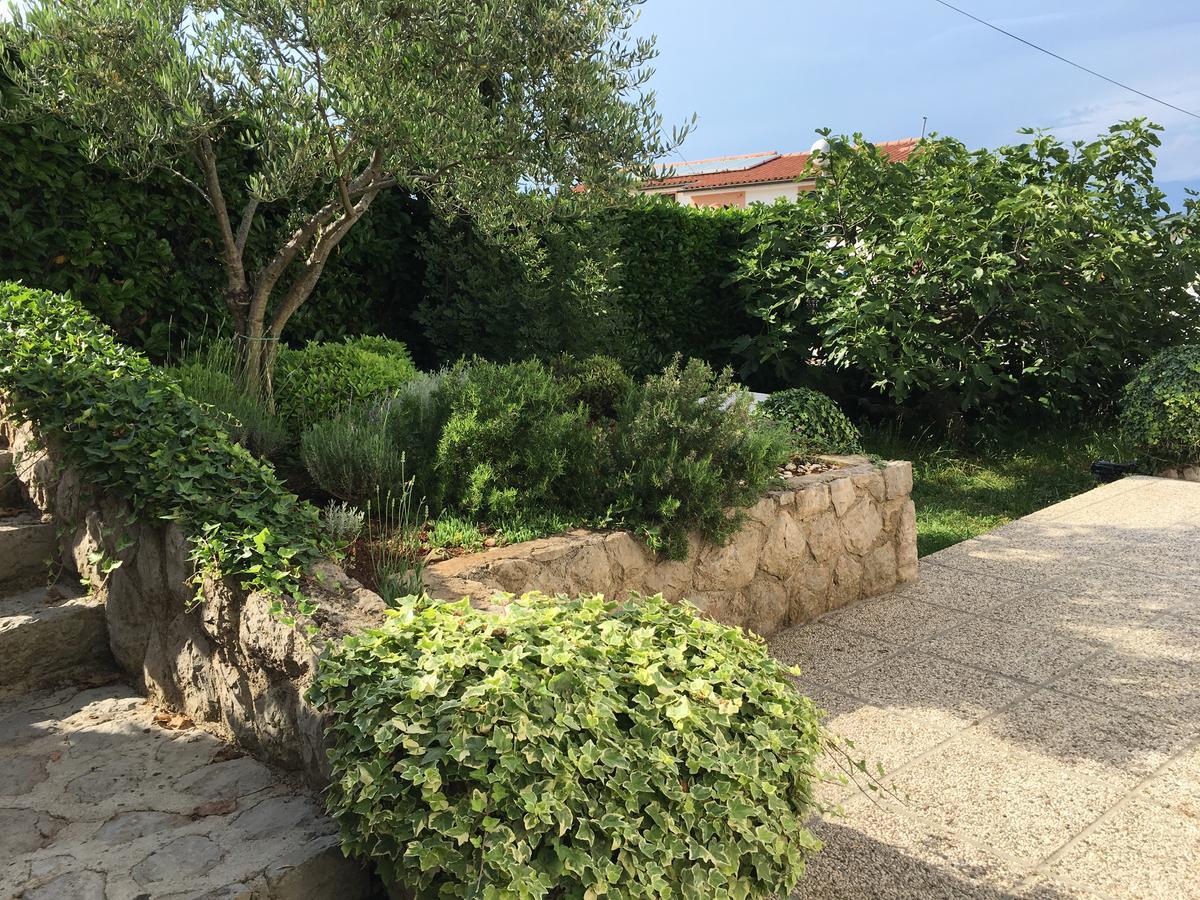 נייביצה Apartman "Ela" מראה חיצוני תמונה